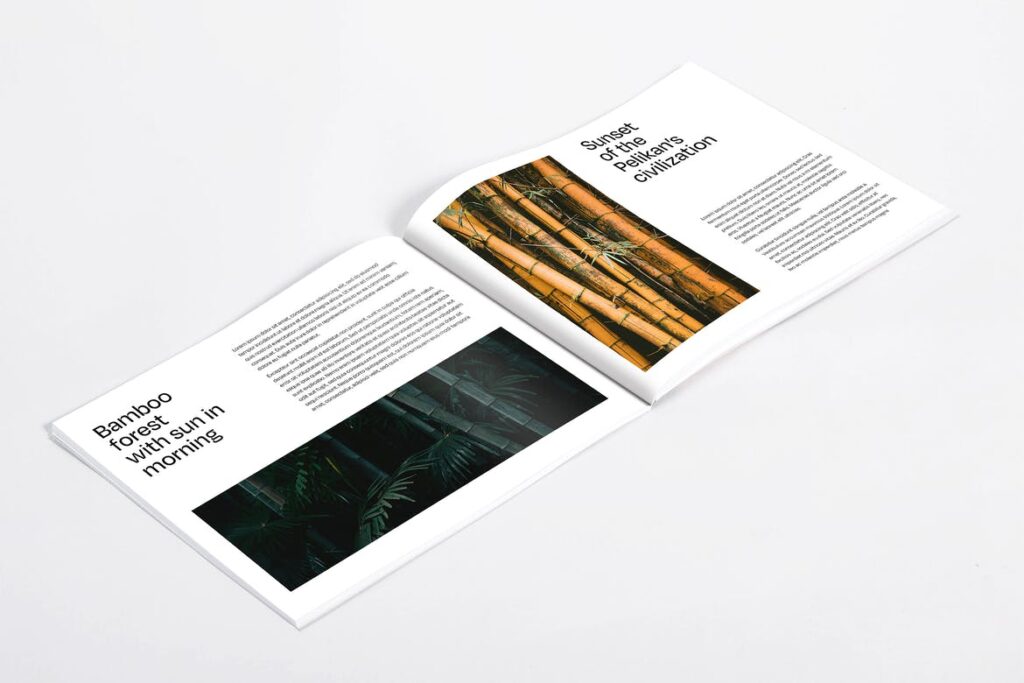 diseño publicitario y diseño de catálogos