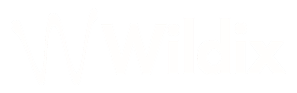 Logo-Wildix-blu-100-55-10-48.fw_ 1